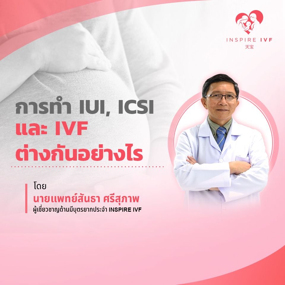 การทำ IUI, ICSI และ IVF ต่างกันอย่างไร